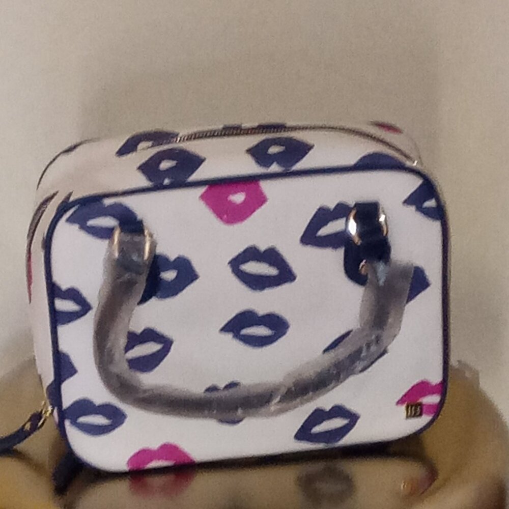 Hudson Bleecker Lipstick Design Blue/Pink/White Purse with Wallet and 2 Cosmetic